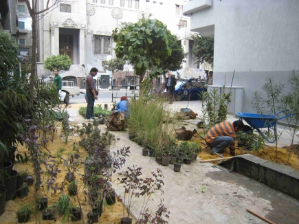 <a class="fancybox" rel="gallery-images" href="https://www.cuipcairo.org/sites/default/files/styles/largest/public/11._img_5068.jpg?itok=81JRGIPQ" title="Construction phase: Planting">Enlarge</a><br >Construction phase: Planting