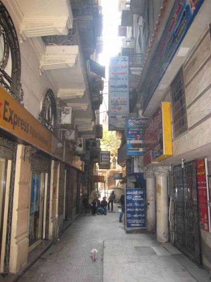 <a class="fancybox" rel="gallery-" href="https://www.cuipcairo.org/sites/default/files/styles/largest/public/b8_002.jpg?itok=4GyVRPJW" title="">تكبير</a><br >٢٠١٥، مارس ٣٠<br>