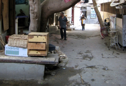 <a class="fancybox" rel="gallery-street-furniture" href="https://www.cuipcairo.org/sites/default/files/styles/largest/public/c3_5b_01_1.jpg?itok=RjhAIXjP" title="">تكبير</a><br >
