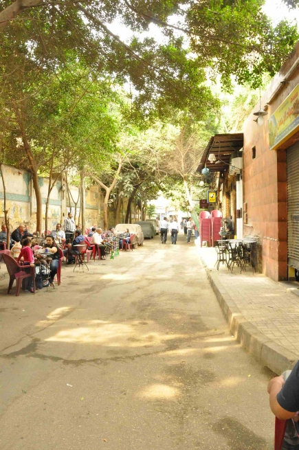 <a class="fancybox" rel="gallery-" href="https://www.cuipcairo.org/sites/default/files/styles/largest/public/d21_001.jpg?itok=nWQWNkfI" title="">تكبير</a><br >٢٠١٢، نوفمبر ١٣<br>