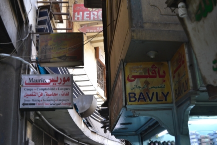 <a class="fancybox" rel="gallery-signage-and-space-annotations" href="https://www.cuipcairo.org/sites/default/files/styles/largest/public/dsc_0058_01_0.jpg?itok=n0Hm2-Kl" title="">Enlarge</a><br >