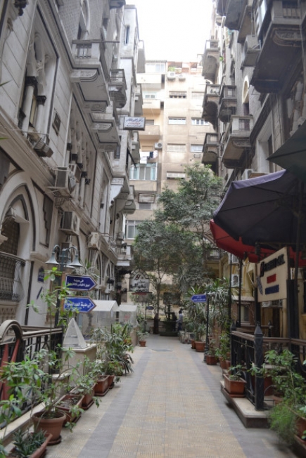 <a class="fancybox" rel="gallery-images" href="https://www.cuipcairo.org/sites/default/files/styles/largest/public/dsc_0276_01_0.jpg?itok=sNSl454Q" title="">Enlarge</a><br >