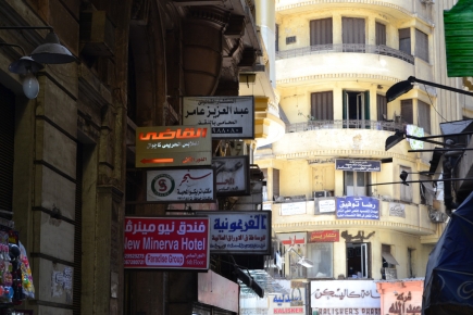 <a class="fancybox" rel="gallery-signage-and-space-annotations" href="https://www.cuipcairo.org/sites/default/files/styles/largest/public/dsc_0303_01.jpg?itok=AtwAVvcY" title="">Enlarge</a><br >