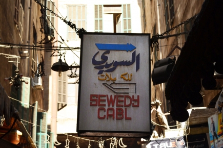 <a class="fancybox" rel="gallery-signage-and-space-annotations" href="https://www.cuipcairo.org/sites/default/files/styles/largest/public/dsc_0344b_01_0.jpg?itok=XZB47no3" title="">Enlarge</a><br >