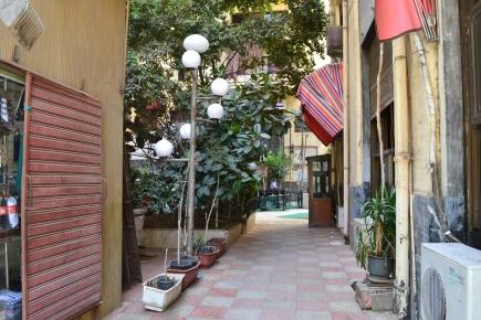 <a class="fancybox" rel="gallery-" href="https://www.cuipcairo.org/sites/default/files/styles/largest/public/dsc_0382_01.jpg?itok=I5PEMAFV" title="">تكبير</a><br >