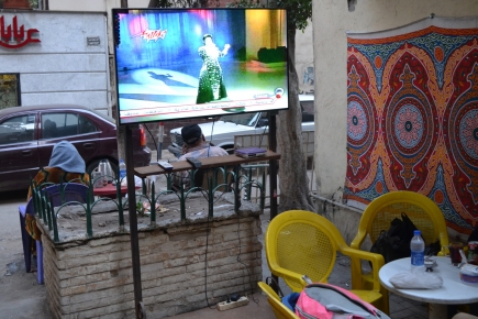 <a class="fancybox" rel="gallery-street-furniture" href="https://www.cuipcairo.org/sites/default/files/styles/largest/public/dsc_0407b_01.jpg?itok=EkBJ6CSp" title="">تكبير</a><br >