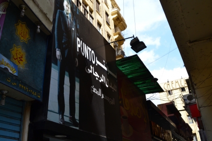 <a class="fancybox" rel="gallery-signage-and-space-annotations" href="https://www.cuipcairo.org/sites/default/files/styles/largest/public/dsc_0545_01.jpg?itok=1onrjfzv" title="">Enlarge</a><br >