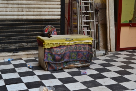 <a class="fancybox" rel="gallery-street-furniture" href="https://www.cuipcairo.org/sites/default/files/styles/largest/public/dsc_0567_01.jpg?itok=J8ucPOIL" title="">تكبير</a><br >