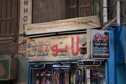 <a class="fancybox" rel="gallery-signage-and-space-annotations" href="https://www.cuipcairo.org/sites/default/files/styles/largest/public/dsc_0695.jpg?itok=93E8q8tb" title="">Enlarge</a><br >