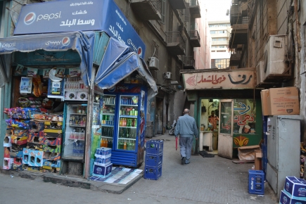 <a class="fancybox" rel="gallery-encroachments-and-territory-markers" href="https://www.cuipcairo.org/sites/default/files/styles/largest/public/dsc_0787_01_0.jpg?itok=NfdVs5Qu" title="">Enlarge</a><br >