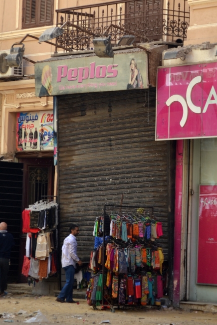 <a class="fancybox" rel="gallery-images" href="https://www.cuipcairo.org/sites/default/files/styles/largest/public/e4g003_0.jpg?itok=Agj2_QsX" title="">Enlarge</a><br >