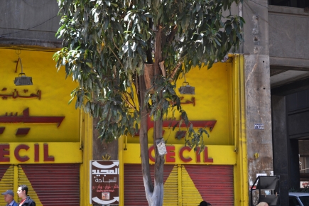 <a class="fancybox" rel="gallery-signage-and-space-annotations" href="https://www.cuipcairo.org/sites/default/files/styles/largest/public/e5i008_2.jpg?itok=-rnS7pPC" title="Old facade of a shoe shop on the southern side of the passageway.">Enlarge</a><br >2015, Sep 15, 03:09pm<br>Old facade of a shoe shop on the southern side of the passageway.