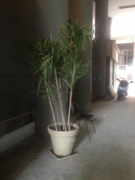 <a class="fancybox" rel="gallery-street-furniture" href="https://www.cuipcairo.org/sites/default/files/styles/largest/public/img_0427copy.jpg?itok=osbJnx5y" title="">تكبير</a><br >