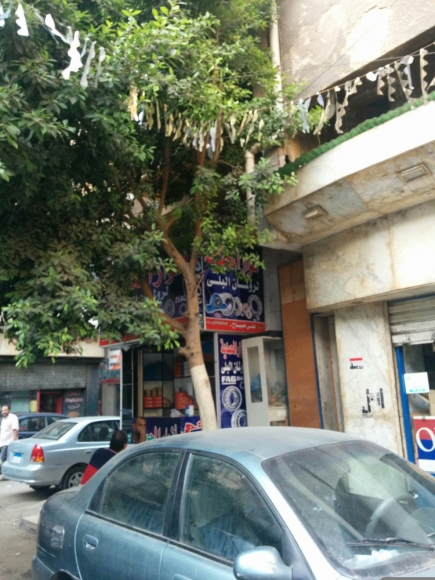 <a class="fancybox" rel="gallery-images" href="https://www.cuipcairo.org/sites/default/files/styles/largest/public/img_20150805_163424_01.jpg?itok=jB_vuzfu" title="">Enlarge</a><br >2015, Aug 05, 04:08pm<br>